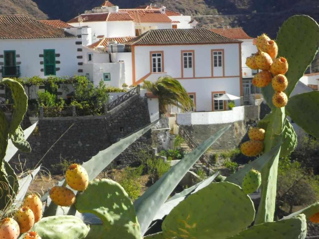 Casa Rural Las Cascaras เตเฮดา ภายนอก รูปภาพ